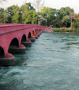 Water Reservoir at chuka forest pilibhit