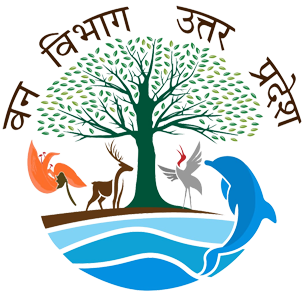 Up-forest-Department-logo