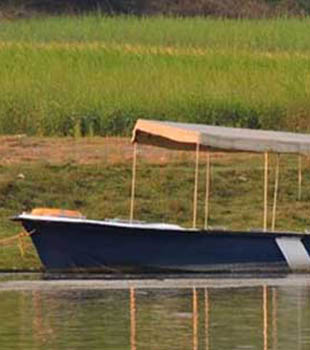 Boating at Chambal River