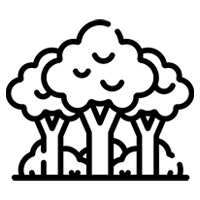 jeep icon